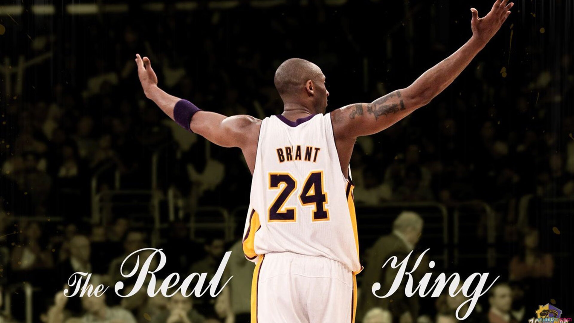 DOTA2赛事中的冷门英雄：为何鲜有人问津，他们真的弱吗？，dota2冷门又厉害的英雄