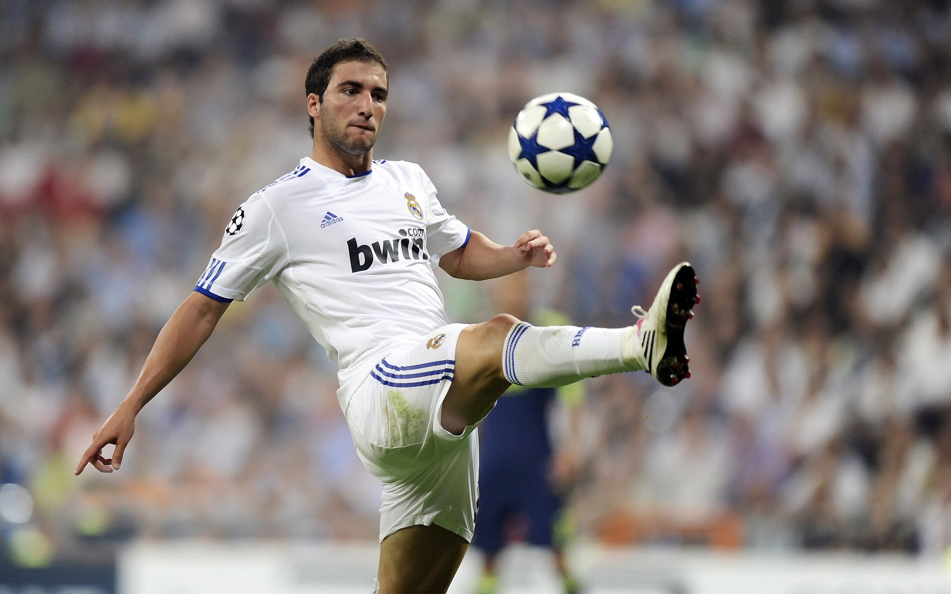 中国足球产业积极布局低碳绿色发展，打造“绿茵行业”新标杆，足球产业规模