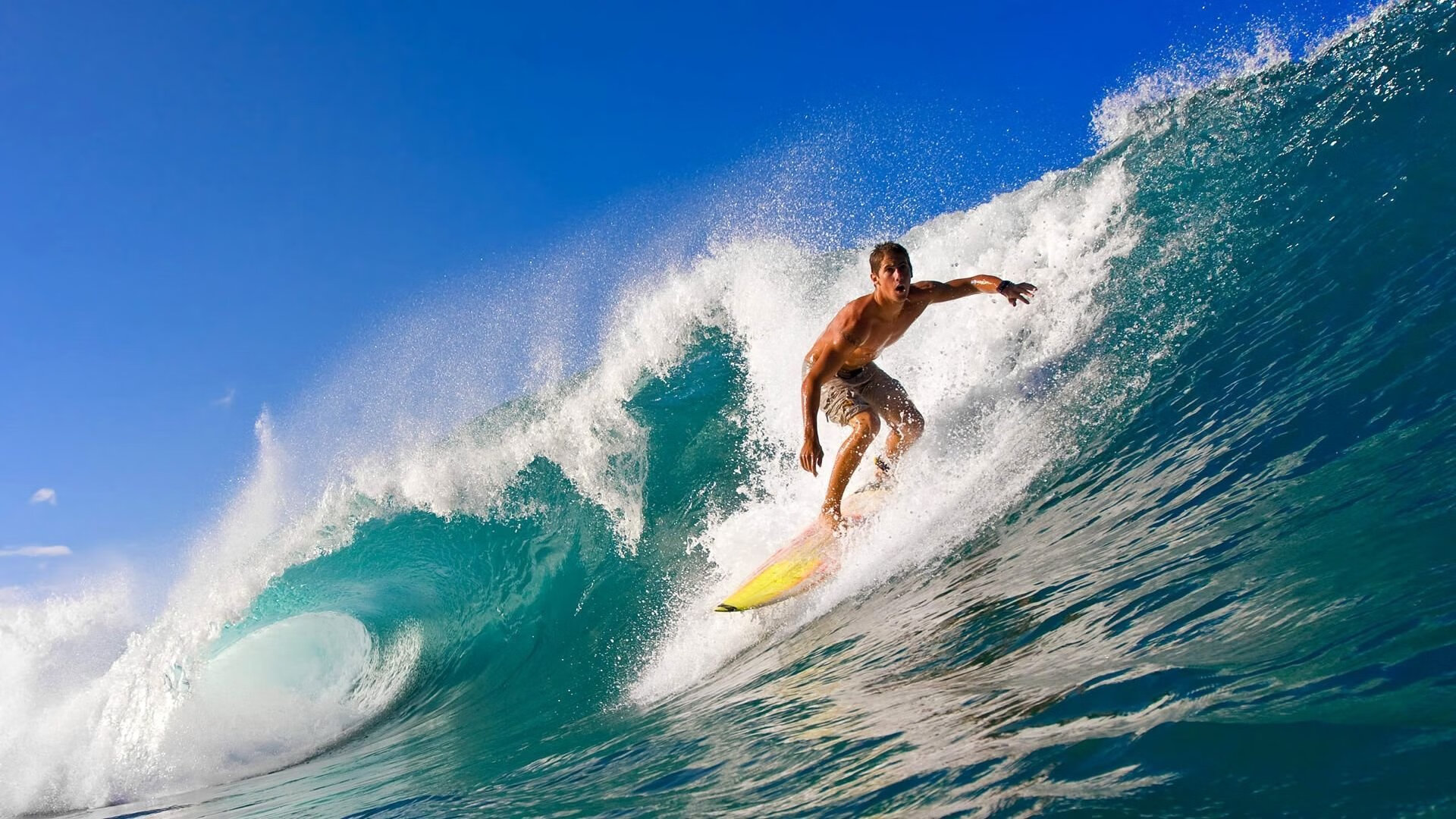 追梦之旅：那些怀揣梦想的年轻力量，年轻的追梦者忽具有的特征