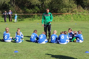 九游娱乐下载-欧洲杯冠军悬念：战术配合与个人能力巅峰对决，欧洲杯冠军大热门